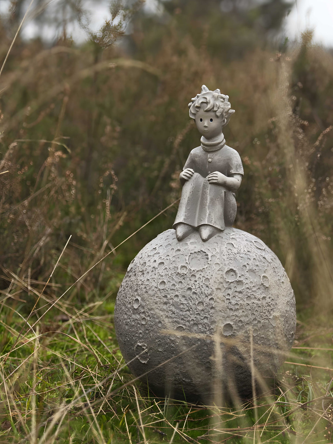 Der kleine Prinz® auf dem Mond