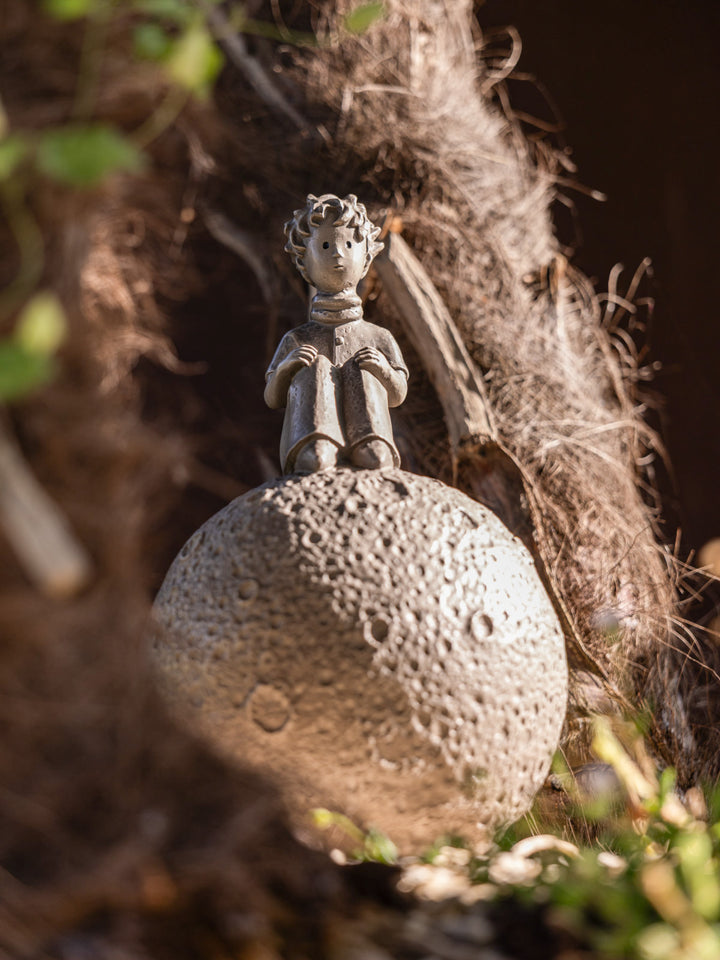 Der kleine Prinz® auf dem Mond