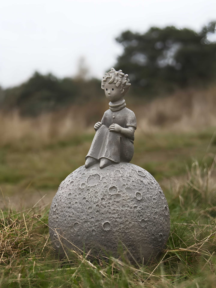 Der kleine Prinz® auf dem Mond