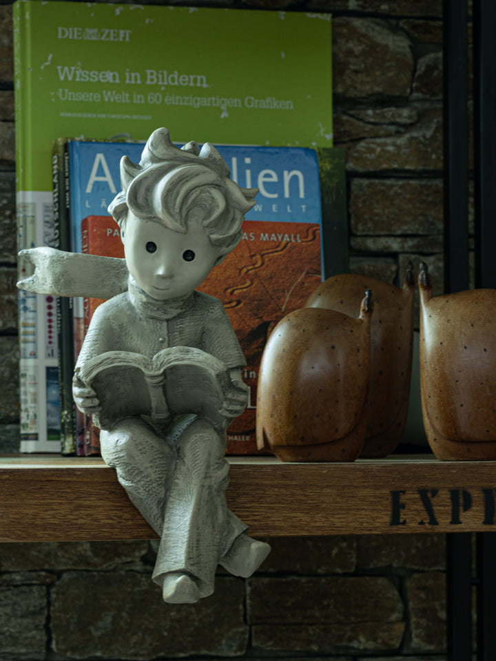 Der kleine Prinz® mit Buch