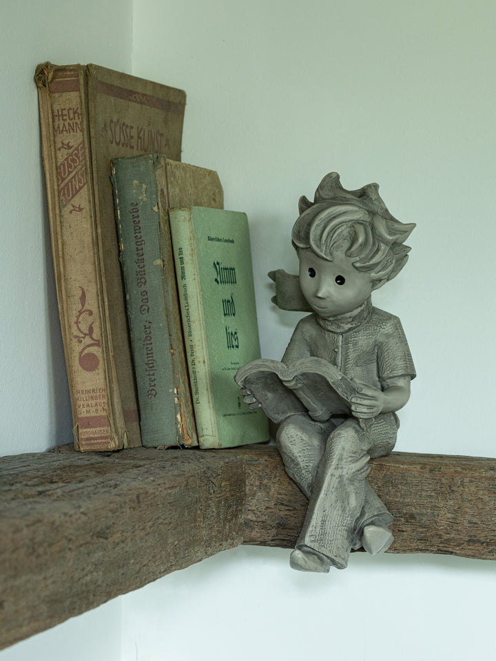 Der kleine Prinz® mit Buch