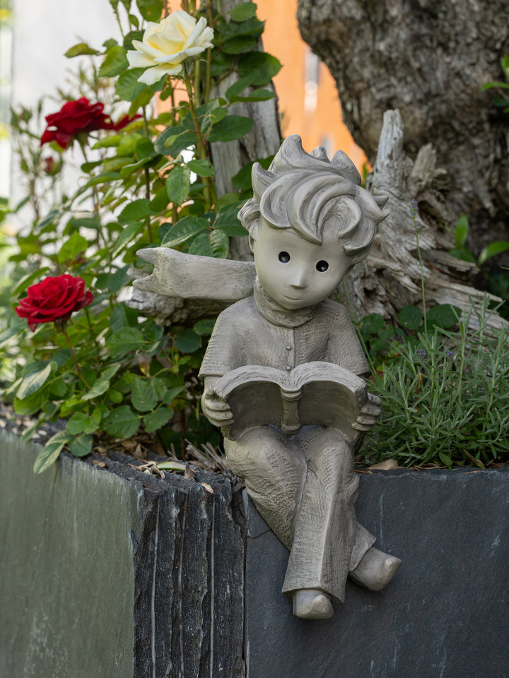 Der kleine Prinz® mit Buch