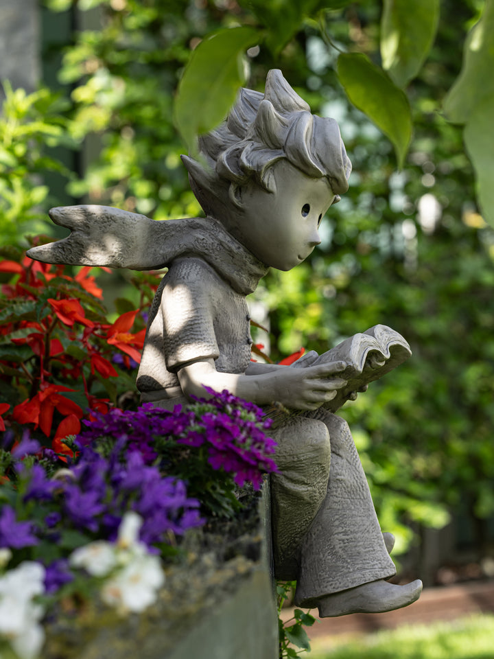 Der kleine Prinz® mit Buch