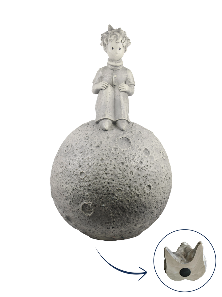Der kleine Prinz® auf dem Mond