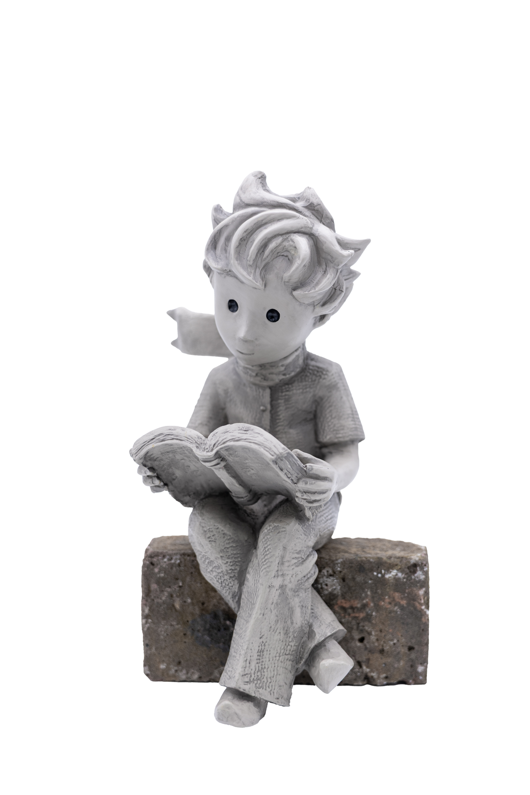 Der kleine Prinz® mit Buch