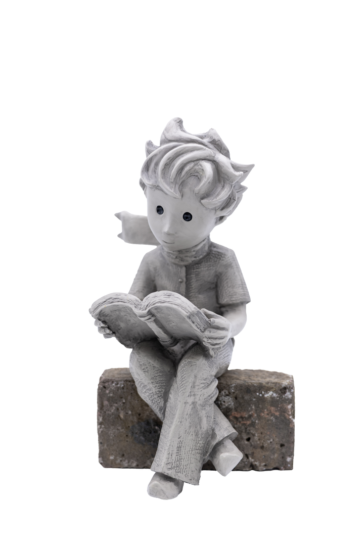 Der kleine Prinz® mit Buch